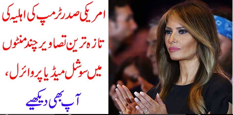 wife, of, USA, President, Donald Trump, Milania Trump,'s, photos, bot, viral,at, the, internet