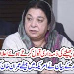 I, ADMIT, NEGLIGENCES, ON, DENGI, FEVER, SPREADING, ALL, OVER, PUNJAB, SAYS, HEALT, MINISTER, YASMEEN RASHID