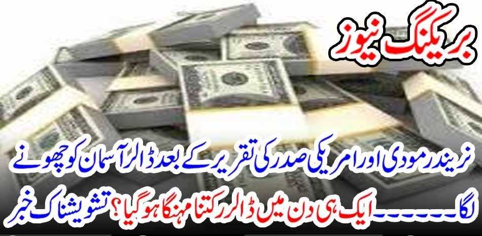 US, DOLLAR, GOT, HIKE, IN, MARKET, HIGH, POSITION