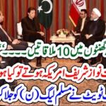 JUNAID SALEEM, FAMOUS, ANCHOR, AND, ANALYST, SAYS, IF, THERE, WOULD, BE, NAWAZ SHARIEF, INSTEAD, OF, IMRAN KHAN, WHAT, WOULD, HAPPEN, IN, ONE, HOUR, CAPTIAN, MEETS, 10, LEADERS, IN, USA