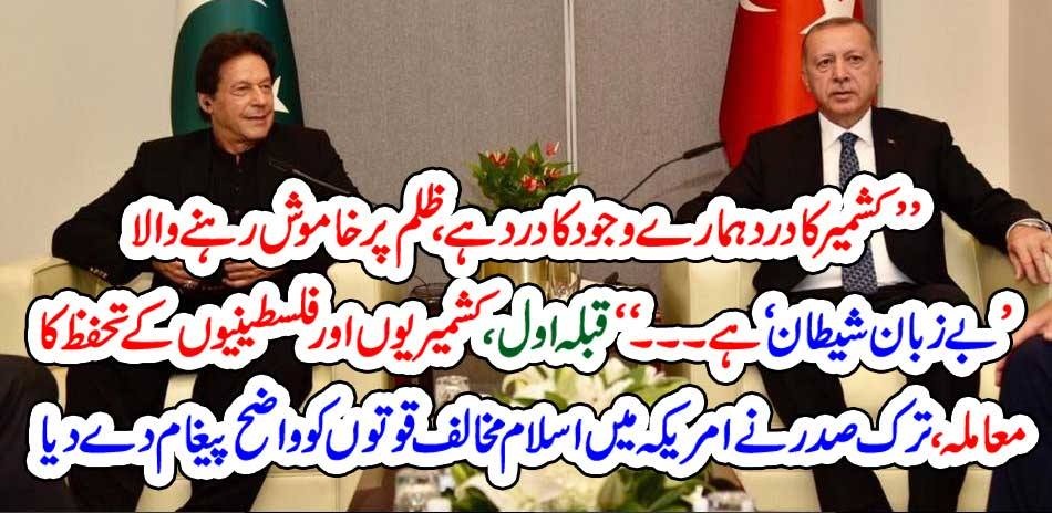 PAIN, OF, KASHMIR, IS, PAIN, OF, OUR, BODY, SAYS, TAYYAB ERDGON, TO, WEST, MEDIA, IN, MEETING, WITH, IMRAN KHAN