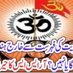 INDIAN, CITIZENS, DENIED, CITIZENSHIP, WILL, GO, WHERE, RSS, ANNOUNCED, THE, BIG, STATEMENT