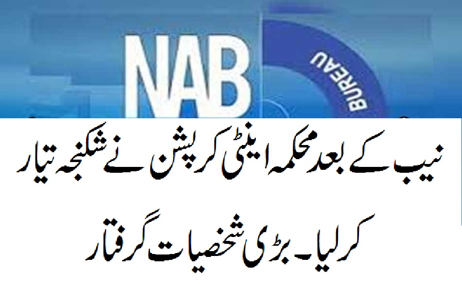 NAB, STARTED, NEW, OPERATIONS, ON, BIG, PERSONALITIES