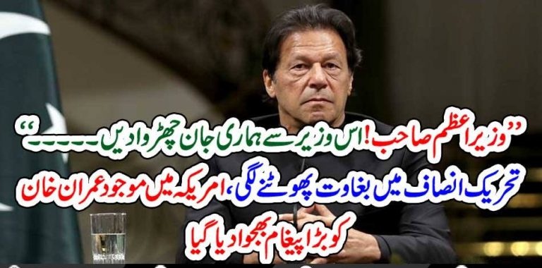PTI, LAWMAKERS, REQUESTED, IMRAN KHAN, TO, REMOVE, THE, MINISTER, AGETATOMG. PTJERS. MESSAGE, DELIVERED, TO, IMRAN KHAN, IN, USA