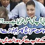 what, is, your, age, asked, maryam, nawaz, by, judge, in, NAB, Maryam, Reply, shooke, the, table