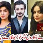 PUNJAB, GOVT, GIVEN, GREAT, SHOCK, TO, ACTORS, ACTRESSES, OF, PUNJAB