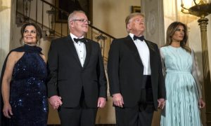 wife, of, USA, President, Donald Trump, Milania Trump,'s, photos, bot, viral,at, the, internet