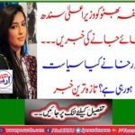 News of Asifa Bhutto being made Chief Minister of Sindh ... What's happening inside politics? Latest news