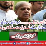 Many leaders, including Shahbaz Sharif, became angry with their own party; new party artifacts were born in the country.
