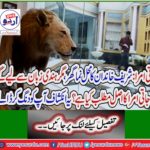 Tribal Amra: The palace house of the Sharif family, but what is the meaning of the words Amra from Hindi language? This revelation will amaze you