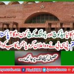 Who will be the new head coach and bowling coach of the national team? Waiting for Pakistanis ended, PCB announced what everyone was waiting for