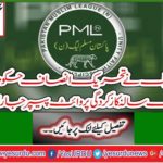 The PML-N issued a white paper on the one-year performance of the PTI government