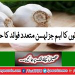 Garlic, an important component of foods, has many benefits