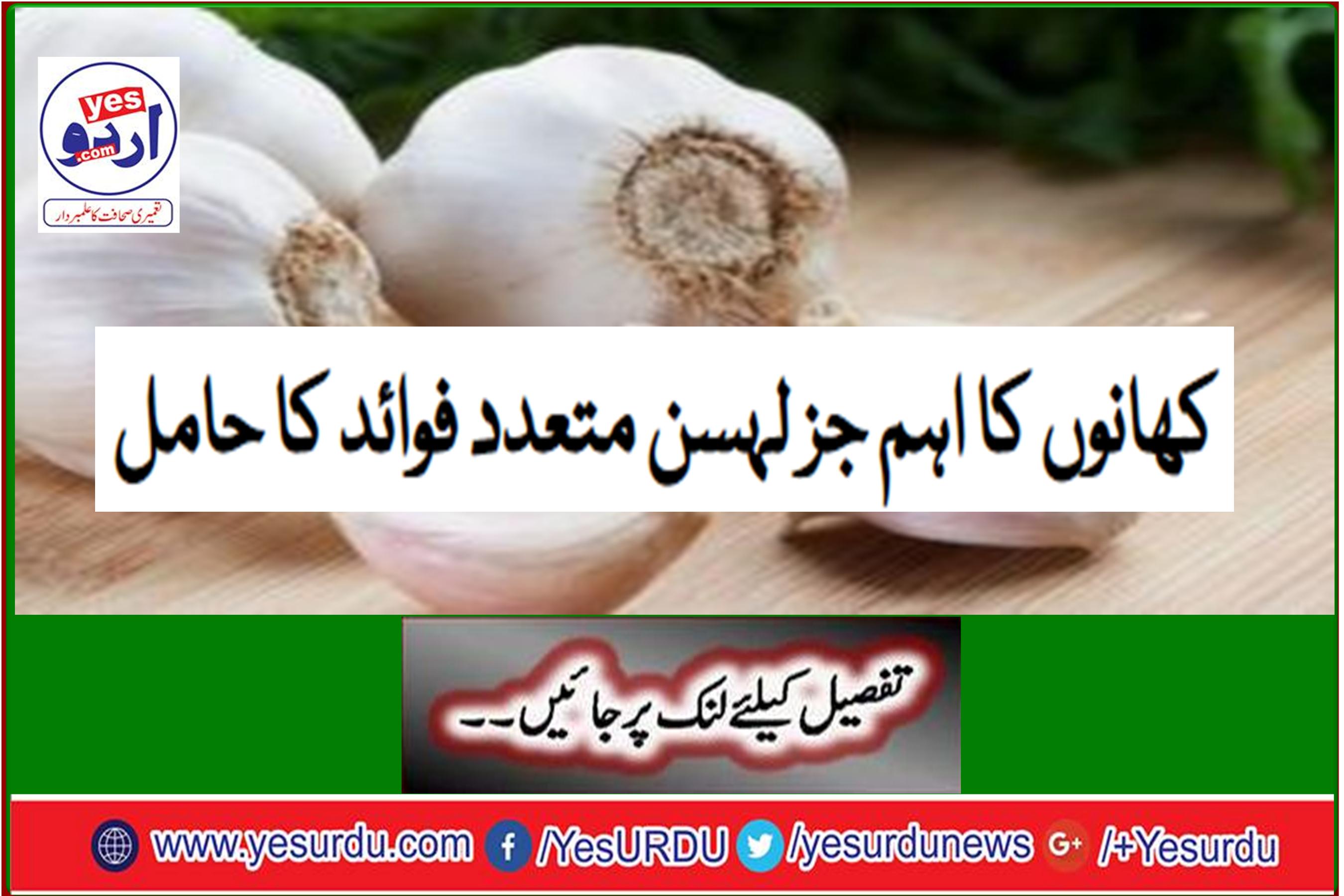 Garlic, an important component of foods, has many benefits