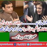 What order has Mary Nawaz issued to her social media team against the institutions? Knowing that Hamza Shahbaz also got angry