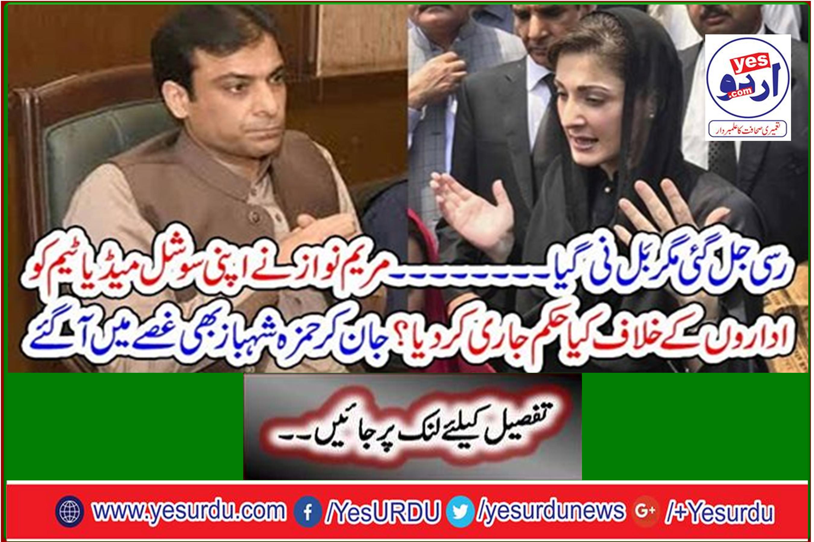 What order has Mary Nawaz issued to her social media team against the institutions? Knowing that Hamza Shahbaz also got angry
