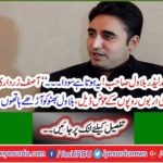 'Deal, Bilawal Bhutto was taken half-handed in lieu of billions of rupees from Asif Zardari's close associates
