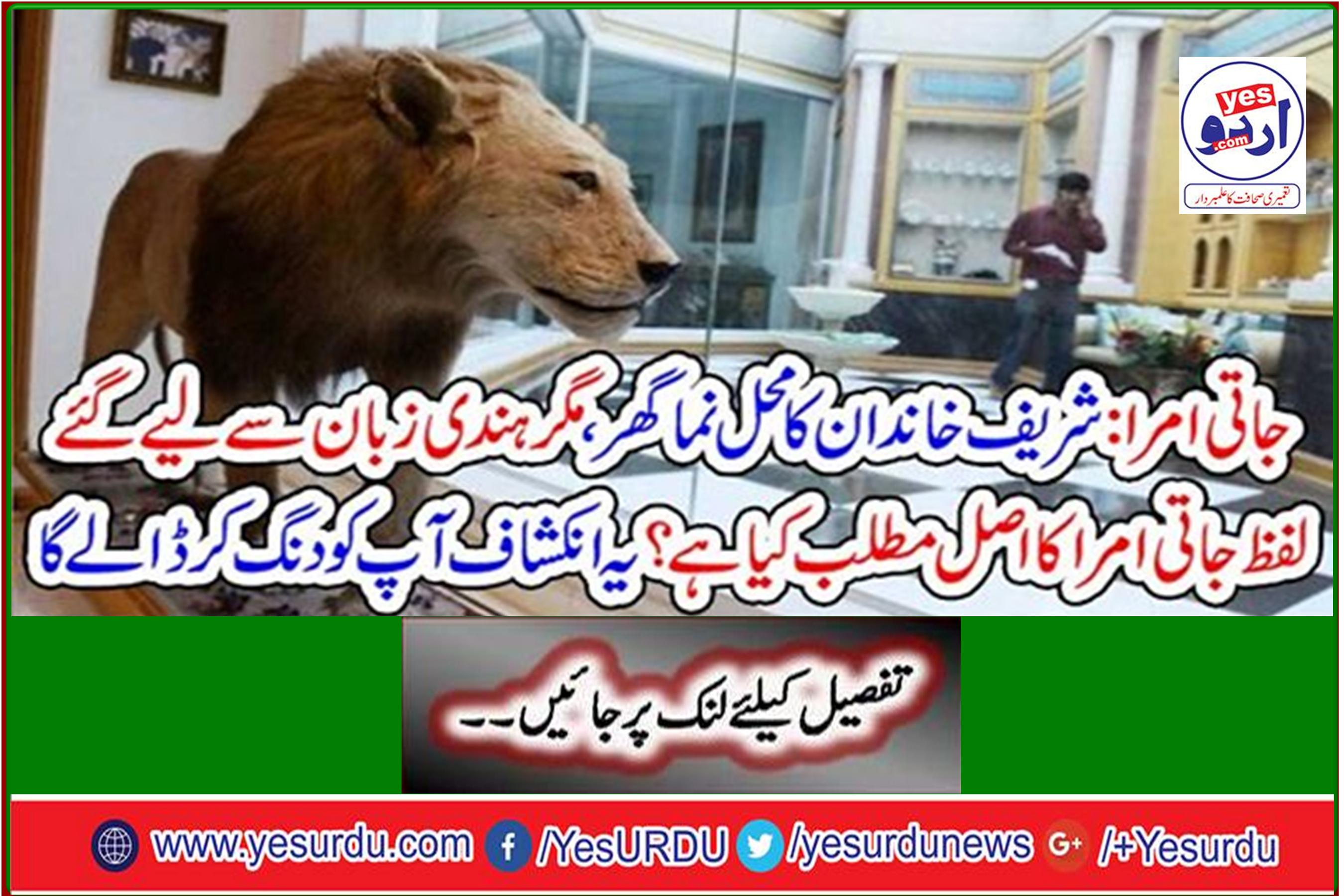 Tribal Amra: The palace house of the Sharif family, but what is the meaning of the word 'Amara' in Hindi? This revelation will amaze you