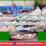 Saudi and UAE Foreign Minister's meeting with Prime Minister Imran Khan, what assurance? Great news for Pakistanis