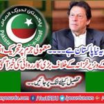 News of a major crackdown came on the part of the PTI Finance Minister over minor crime
