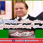 Prime Minister Imran Khan's cousin Hafizullah Niazi's spirited discovery