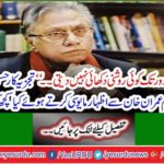 'Analyst Hassan Nisar said something in frustration with Prime Minister Imran Khan?