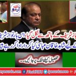 The matter went out of Shahbaz Sharif's hands, what role does Shahid Khaqan Abbasi play in bringing Nawaz Sharif to a deal this time? Learn