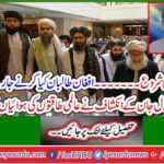 What are the Afghan Taliban doing? The revelation of Oriya's popular life blew the air of world powers
