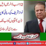 Deal in $ 12 Billion ... Nawaz Sharif ready to release Nawaz Sharif