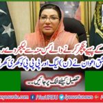 Firdous Ashiq Awan slammed the PML-N and the PPP