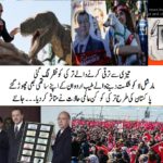 founders, leaders, of, aaq, party, turkey, left, the, party, on, differences, with, Erdgon