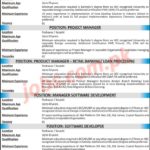 Bank of Khyber Jobs 2019 for IT, Managers and Department Head Vacancies