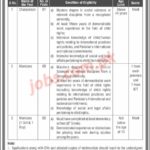 Ministry of Human Rights Pakistan Jobs 2019 for Members and Chairperson