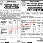 Lasbela University (LUAWMS) Jobs 2019 for 38+ IT, Clerks, Accounts, Office, Lab & Support Staff