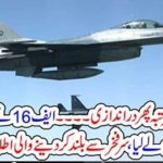 Indian, Plan, violated, Pakistani, air, borders,, and, Pakistani, air force, captured, that, and, led, him, to, Afghanistan
