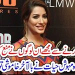 MEHWISH, HAYAT, TOLDS, WHO, STOPED, HER, FOR, COMMENTING, KASHMIR, ISSUE
