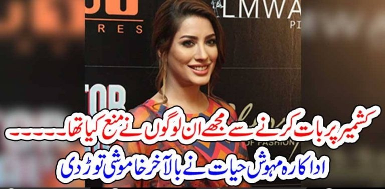MEHWISH, HAYAT, TOLDS, WHO, STOPED, HER, FOR, COMMENTING, KASHMIR, ISSUE