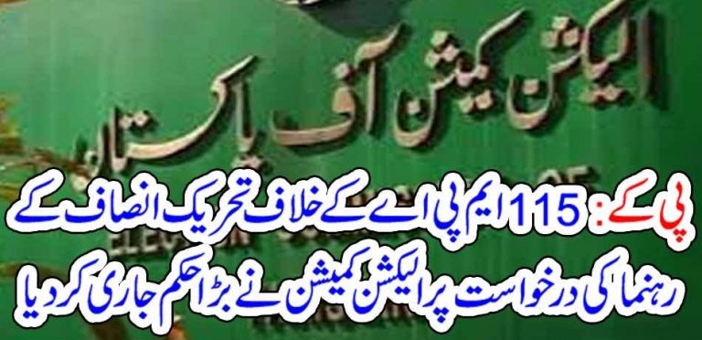 ELECTION, COMMISSION, OF, PAKISTAN, NEW, DECISION, FOR, MPA