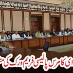 FEDRAL, CABINET, APPROVED, COMERCE, POLICY, FRAMEWORK