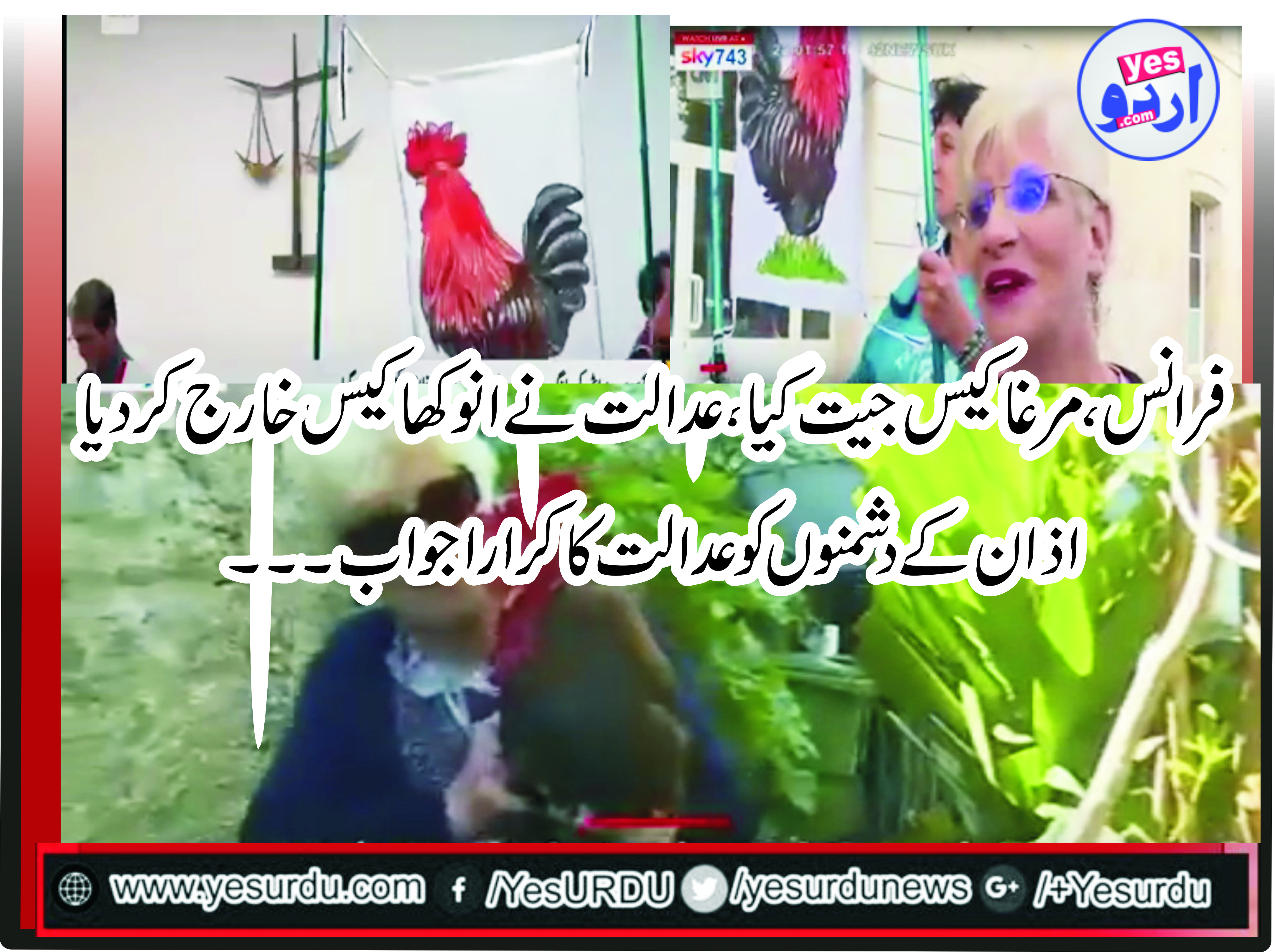 a, cock, wins, the, case, against, him, in, France, , village