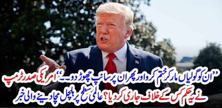 DONALD, TRUMP, STATEMENT, AGAINST, OPONENTS, ORDERED, TO, SHOOT, THEM, AND, ORDERED, TO, PUT, SNAKE, ON, THEM