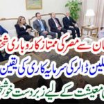 BILLIONAIRE, EGYPTION, BUSINESSMAN, MEET, PM, IMRAN KHA, IN, HIS, OFFICE, TODAY