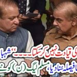 SHEHBAZ SAHRIEF, DENIED, TO, LEAD, PMLN, NOW, HE, TOLD, MNS, ABOUT, THAT