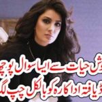MEHWISH HAYAT, TOLD, THE, MEDIA, WHO, STOPED, HER, TO, TALK, ON, KASHMIR