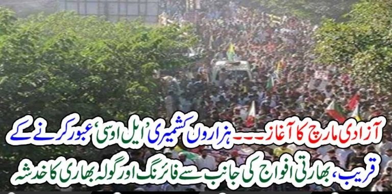 THOUSANDS, OF, KASHMIRIS, RAISE, MARCH, TOWARDS, LINE, OF, CONTROL, AZADI, MARCH, STARTED