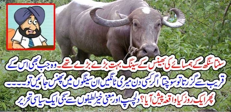 SAMTA SOMG. AMD. BAMTA SOMGJ. JOKES, ONCE, SANTA SINGH, AFRAID, OF, BIG, HORNS, OF, BUFALLOW, WHAT, DID, HE, DO