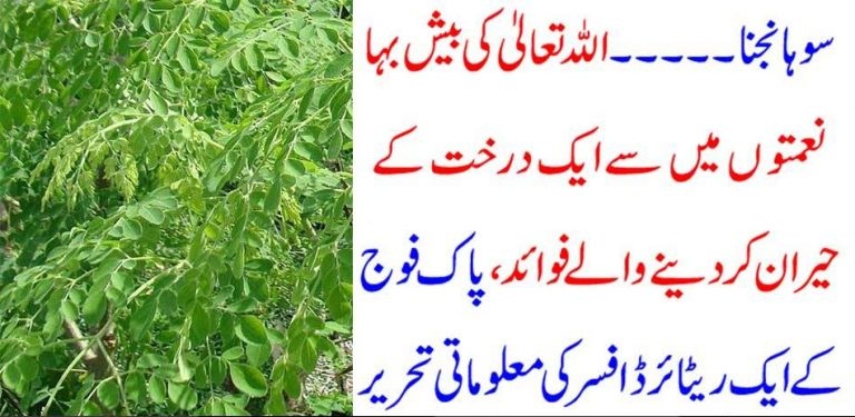 ALLAH PAK, CREATED, A, TREE, PAK, ARMY, RETIRED, OFFICER, DESCRIBED, VERY, CLEAR, BLESSINGS, OF, A, TREE