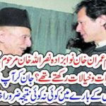 IMRAN KHAN, AND NWABZADA, NASRULLAH KHAN, LATE, WHAT, SIMILARITY, THEY, HAVE