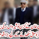 MAN, ATTACKING, IMRAN KHAN, COUSIN, WITH, EGG, CAUGHT, BADLY