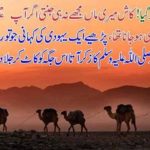 a, jewish, story, a, man, who, use, to, praise, Hazrat Muhammad P.B,U.H, and, then, burn, the, place